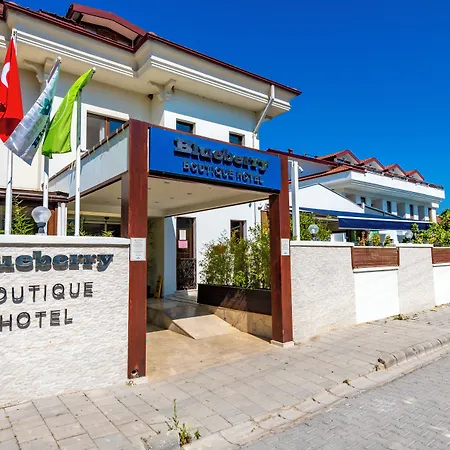 Blueberry Boutique Otel