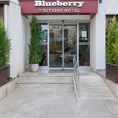Blueberry Boutique 费特希耶