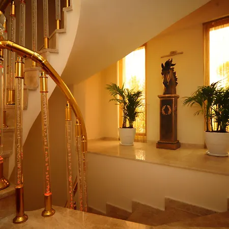 فندق Blueberry Boutique 4*