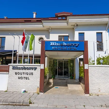 فندق Blueberry Boutique 4*