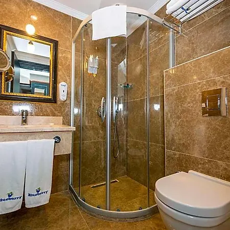 Ξενοδοχείο Blueberry Boutique 4*