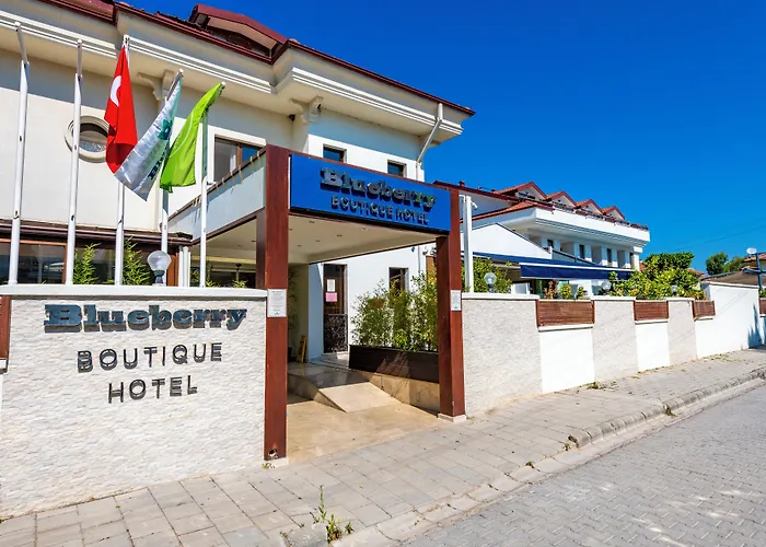 Blueberry Boutique Otel